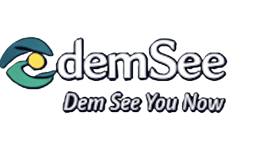 Demsee Logo